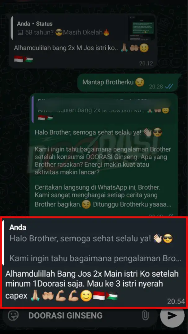 testi-wa-6-1